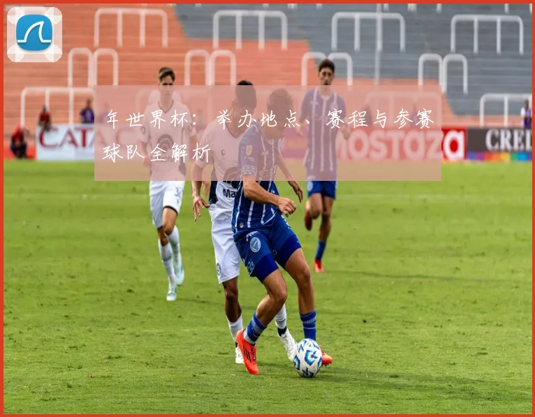 年世界杯：举办地点、赛程与参赛球队全解析